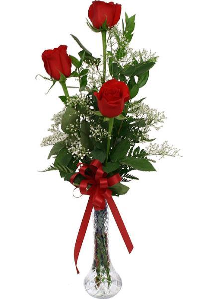 3 Red Roses
