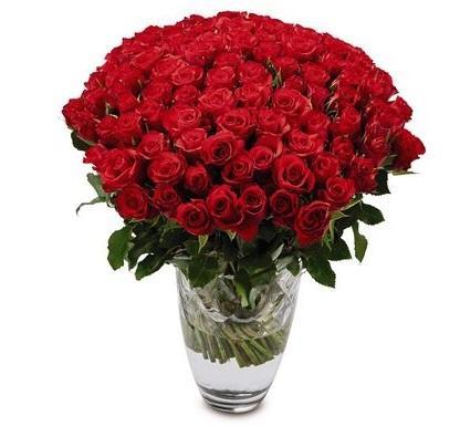 100 Red Roses 