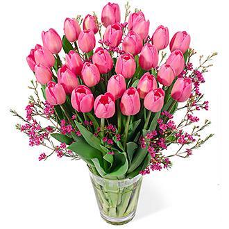 Pink Tulips