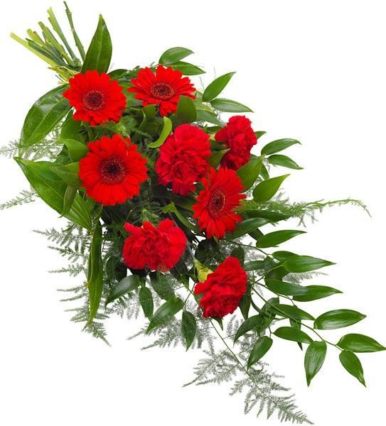 Red Salute