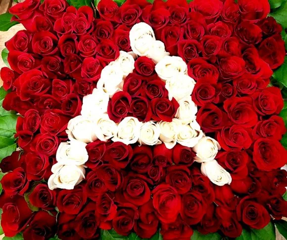 1000 Roses with Design (letters or Numbers)